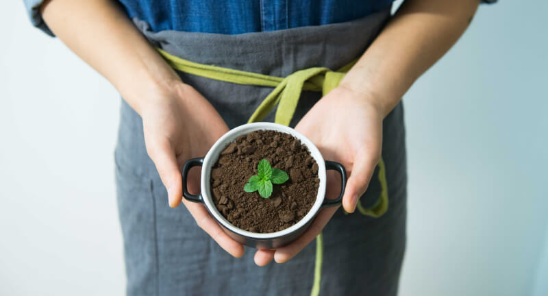 Cursus Ecologie