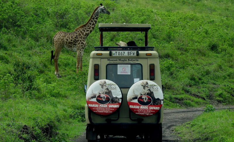 Cursus Swahili voor beginners